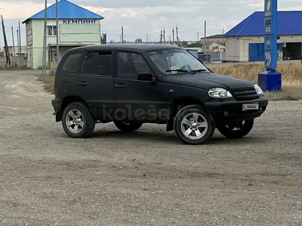 Chevrolet Niva 2007 года за 1 700 000 тг. в Актобе – фото 10