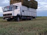 Mercedes-Benz  814 1993 годаүшін7 000 000 тг. в Жосалы – фото 4