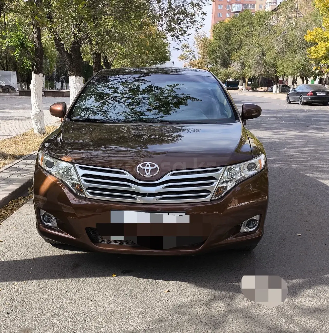 Toyota Venza, 2009