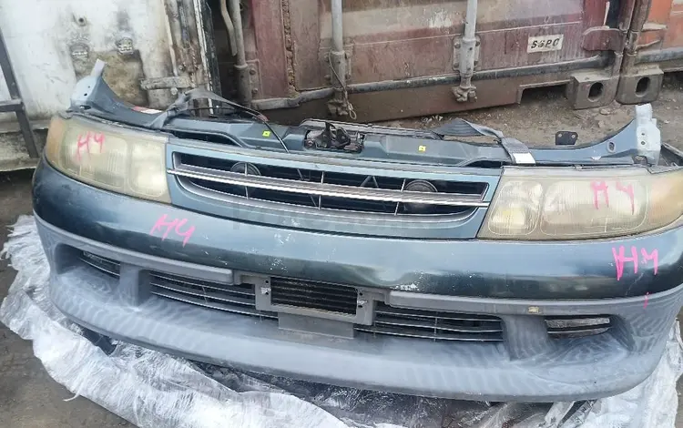 Ноускат морда люсида Эмина за 1 000 тг. в Алматы