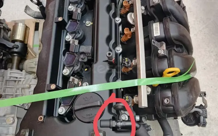 TULPAR в Алматы