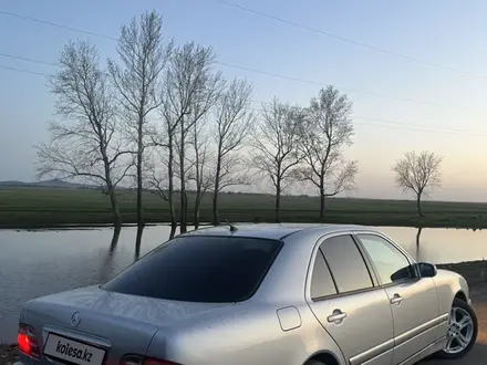 Mercedes-Benz E 200 2000 года за 6 650 000 тг. в Кокшетау – фото 23