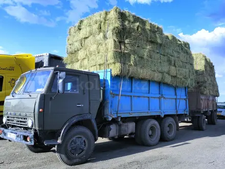 КамАЗ  55102 1980 года за 3 500 000 тг. в Экибастуз