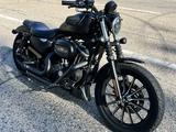 Harley-Davidson  Sportster 883 2010 годаүшін5 500 000 тг. в Алматы – фото 2