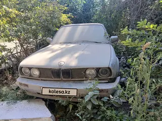 BMW 316