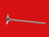 Клапан двигателя впускнойүшін4 700 тг. в Алматы