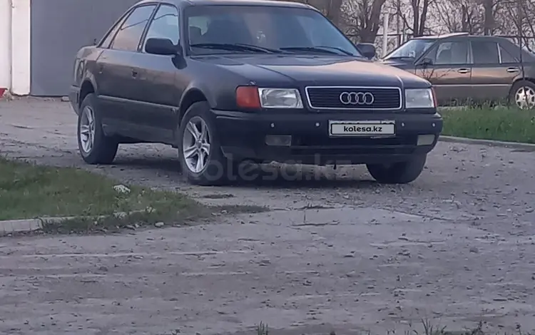 Audi 100 1992 года за 1 400 000 тг. в Кордай