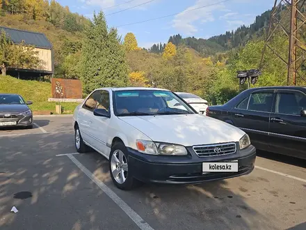 Toyota Camry 2001 года за 3 300 000 тг. в Алматы – фото 3