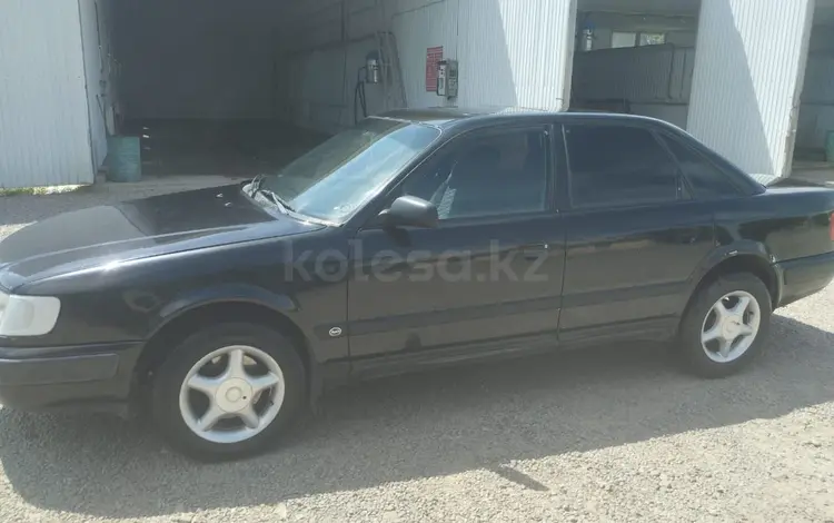 Audi 100 1993 годаүшін1 800 000 тг. в Мерке