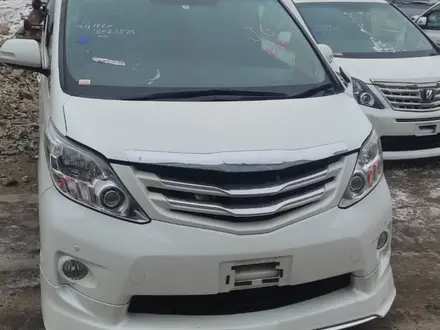 Toyota Alphard 2009 года за 9 000 000 тг. в Алматы – фото 3