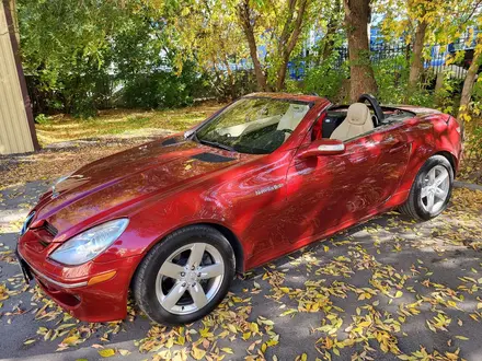 Mercedes-Benz SLK 280 2006 года за 8 900 000 тг. в Костанай