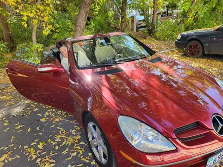 Mercedes-Benz SLK 280 2006 года за 9 200 000 тг. в Костанай – фото 8