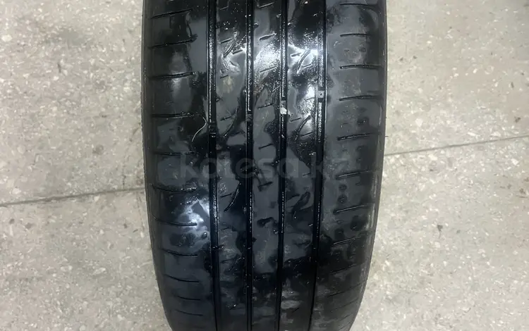 Nexen за 10 000 тг. в Усть-Каменогорск