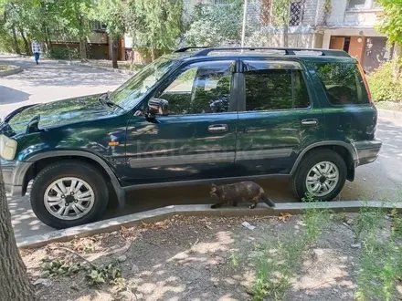 Honda CR-V 1996 года за 3 000 000 тг. в Алматы – фото 3