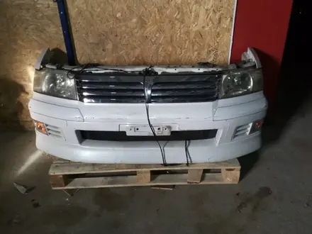 Ноускаты носики большой ассортимент из Японии в Караганда – фото 36