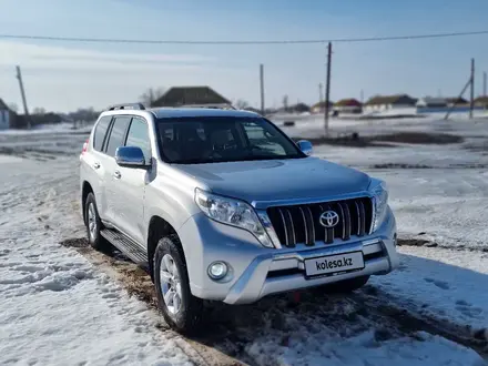 Toyota Land Cruiser Prado 2016 года за 16 500 000 тг. в Уральск – фото 2