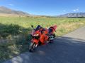 Honda  CBR 600RR 2003 годаүшін2 990 000 тг. в Алматы – фото 5