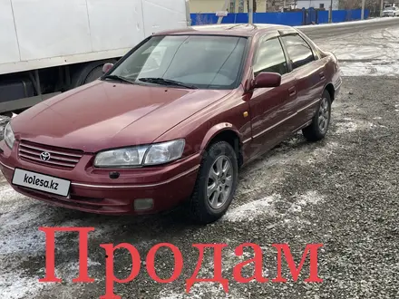 Toyota Camry 1998 года за 2 500 000 тг. в Семей – фото 4