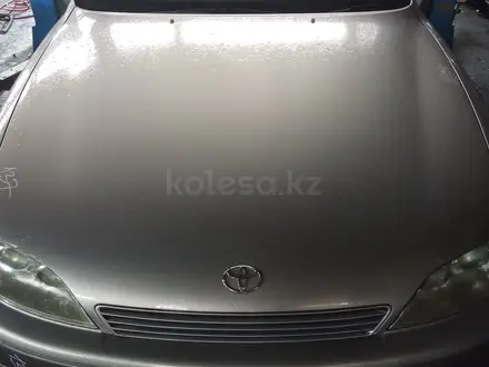 Капот Toyota Windom VCV11 за 90 000 тг. в Усть-Каменогорск