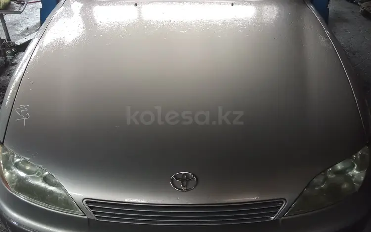 Капот Toyota Windom VCV11үшін90 000 тг. в Усть-Каменогорск