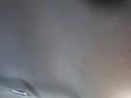 Toyota Corolla 2016 года за 8 200 000 тг. в Семей – фото 13