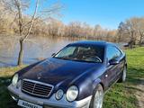 Mercedes-Benz CLK 230 1998 годаүшін2 450 000 тг. в Усть-Каменогорск – фото 3