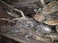 Глушитель резонатор глушак гофра N за 25 000 тг. в Астана