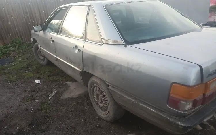 Audi 100 1986 годаүшін700 000 тг. в Акколь (Аккольский р-н)