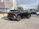 Lexus RX 350 Executive+ 2025 годаүшін45 690 000 тг. в Петропавловск – фото 5