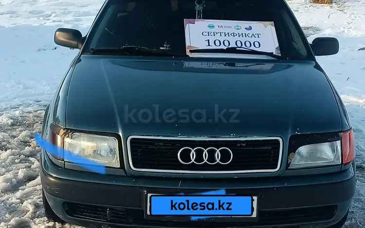 Audi 100 1993 годаүшін1 700 000 тг. в Талдыкорган