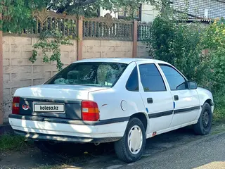 Opel Vectra, 1992