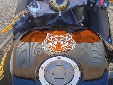 Kawasaki  ZX-10 Ninja 2006 года за 3 250 000 тг. в Караганда – фото 6