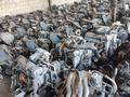 Двигатель К4М Лада Ларгусүшін330 000 тг. в Астана – фото 11