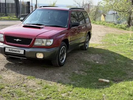 Subaru Forester 1997 года за 3 200 000 тг. в Алматы – фото 5