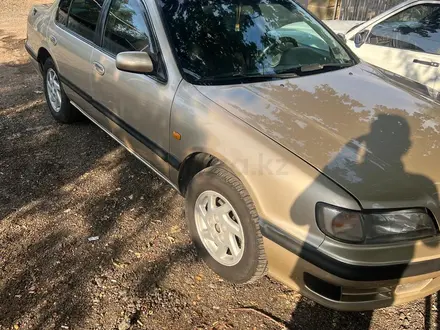 Nissan Cefiro 1995 года за 2 200 000 тг. в Алматы – фото 3