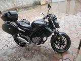 Suzuki  SFV 650 Gladius 2013 годаүшін3 800 000 тг. в Алматы