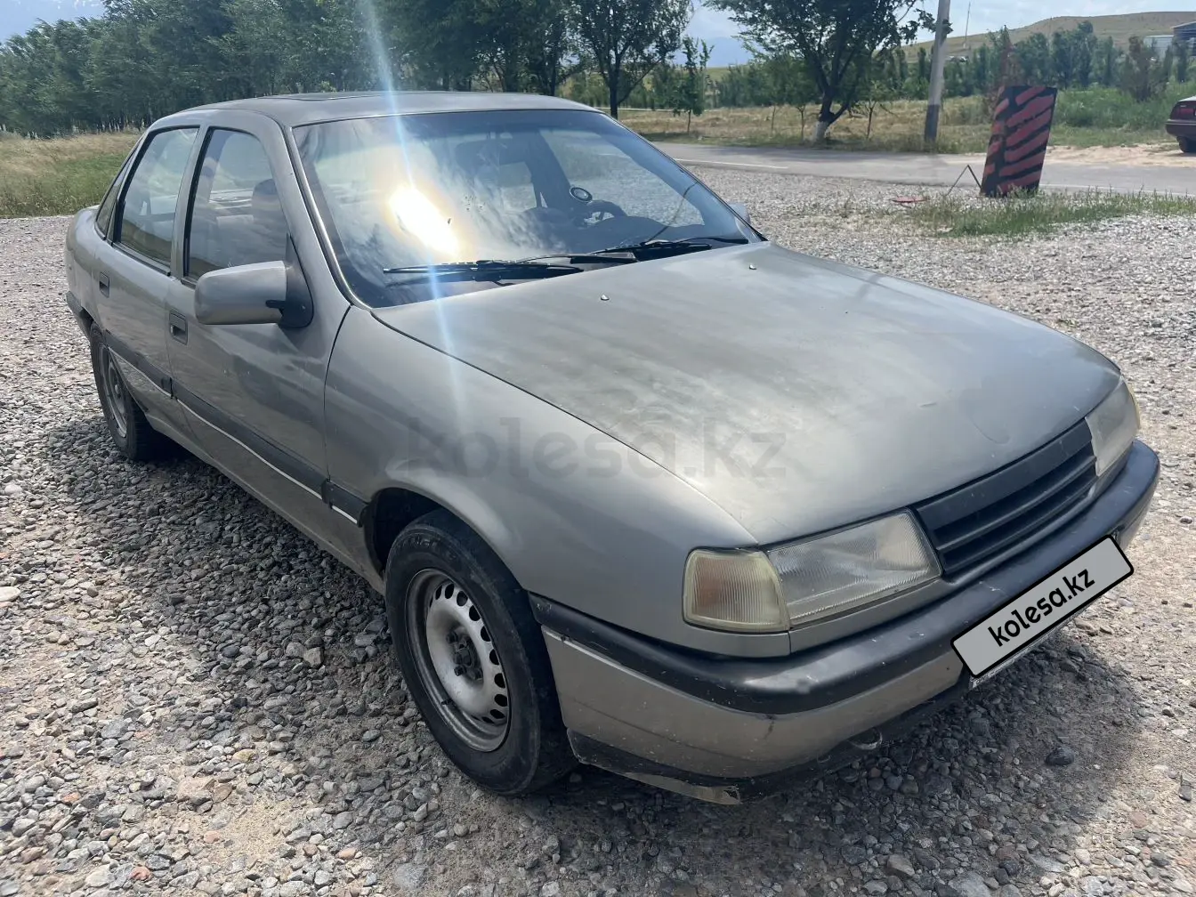 Opel Vectra, 1991