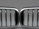 Решетка радиатора ноздри BMW G30 за 1 000 тг. в Алматы