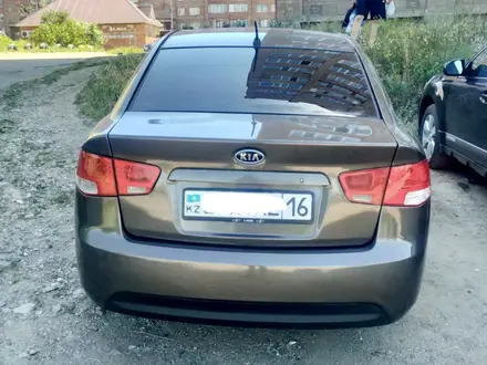 Kia Cerato 2012 года за 4 700 000 тг. в Усть-Каменогорск – фото 3