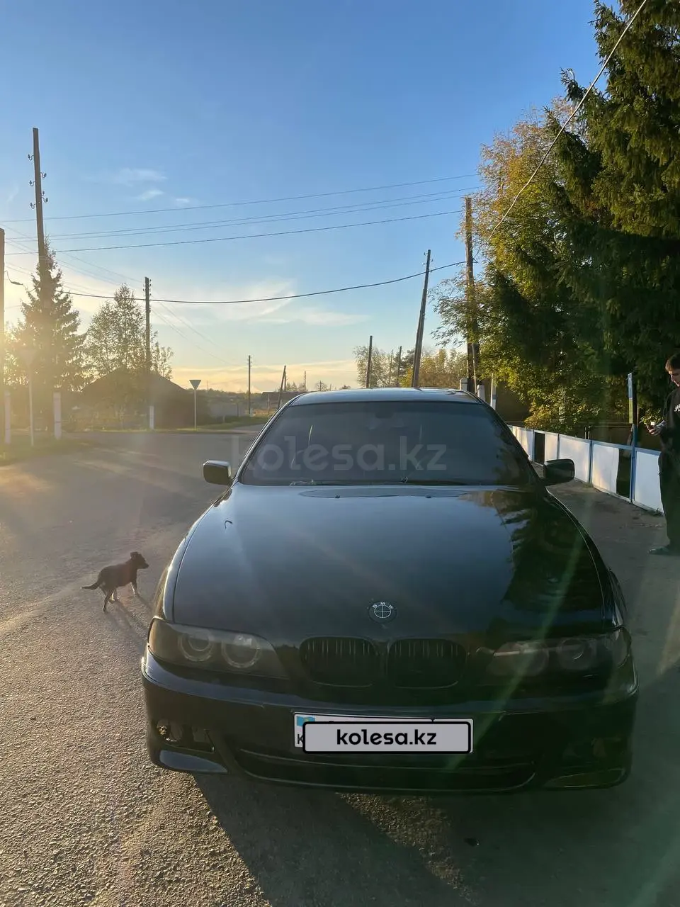 BMW 5 Series, 2000