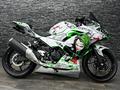 Kawasaki  EX400 NINJA 2018 года за 2 850 000 тг. в Алматы – фото 15