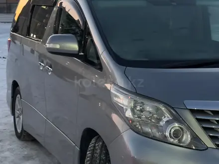 Toyota Alphard 2010 года за 7 000 000 тг. в Шымкент – фото 14