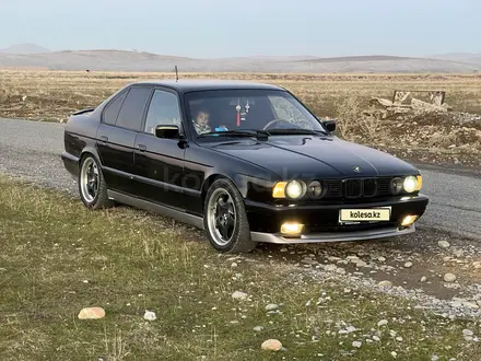 BMW 525 1995 года за 3 000 000 тг. в Шымкент