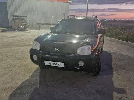 Hyundai Santa Fe 2004 года за 2 700 000 тг. в Кандыагаш – фото 13