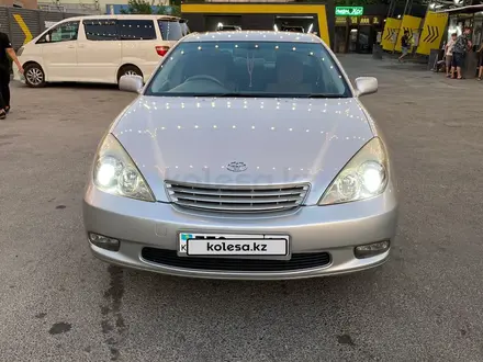 Toyota Windom 2002 года за 4 700 000 тг. в Тараз – фото 17