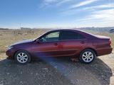 Toyota Camry 2004 годаүшін5 000 000 тг. в Сарыагаш – фото 4