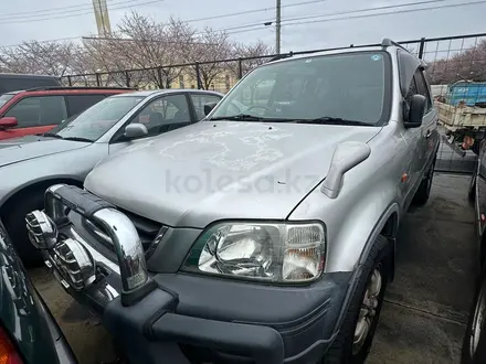 Авторазбор CAR CITY.UK в Усть-Каменогорск – фото 9