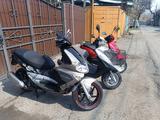 Gilera  Gilera Runner VX- 125. Honda Tact AF - 79. 2020 года за 1 150 000 тг. в Алматы – фото 4