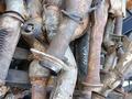 Приемная труба глушитель Митсубисиүшін10 000 тг. в Астана