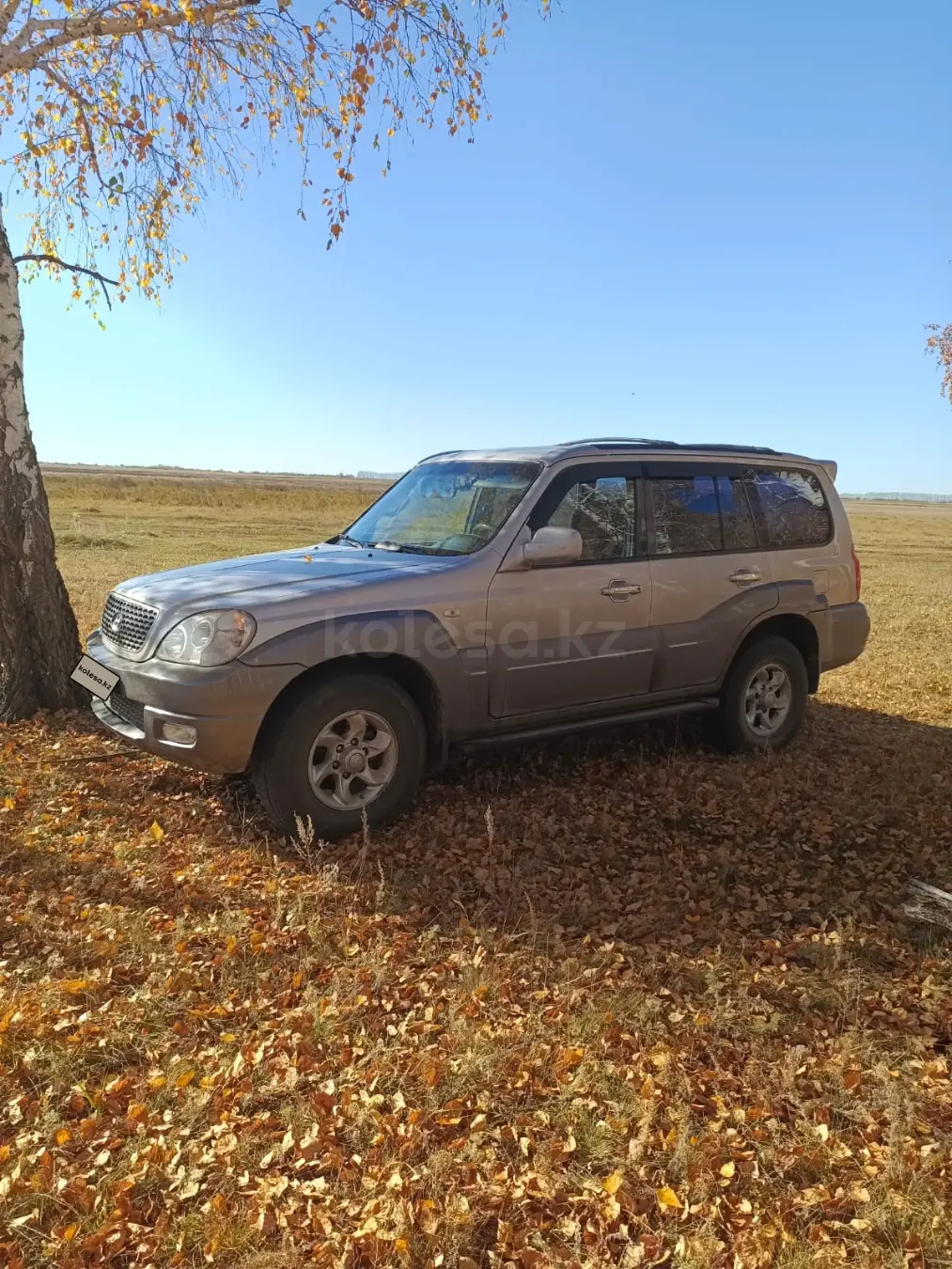 Hyundai Terracan, 2006